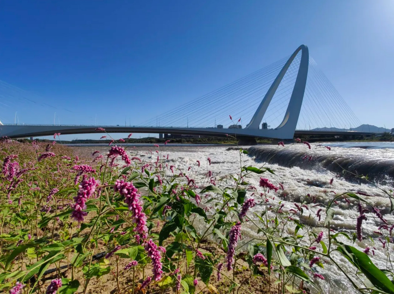 sunbet·(中国区)有限公司官网