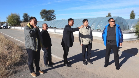 真情助扶促发展  村落振兴显担任